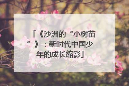 《沙洲的“小树苗”》：新时代中国少年的成长缩影