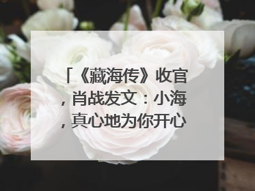 《藏海传》收官，肖战发文：小海，真心地为你开心！你看，有这么多人懂你！