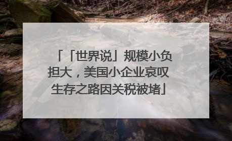 「世界说」规模小负担大，美国小企业哀叹生存之路因关税被堵