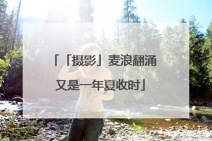「摄影」麦浪翻涌 又是一年夏收时