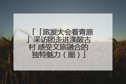 「旅发大会看青原」采访团走进渼陂古村 感受文旅融合的独特魅力（图）