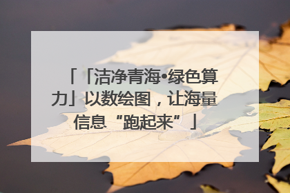 「洁净青海•绿色算力」以数绘图，让海量信息“跑起来”