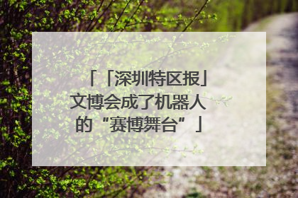 「深圳特区报」文博会成了机器人的“赛博舞台”