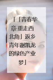 「青春华章·重走西北角」返乡青年谢凯龙的绿色产业梦