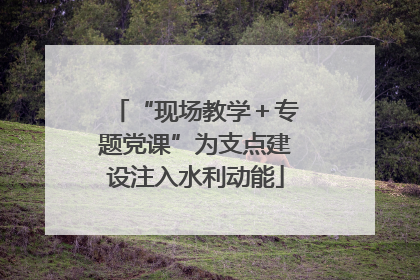 “现场教学＋专题党课”为支点建设注入水利动能