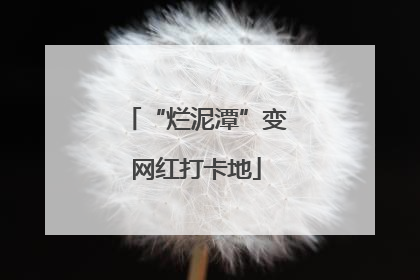 “烂泥潭”变网红打卡地