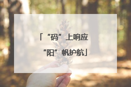 “码”上响应 “阳”帆护航