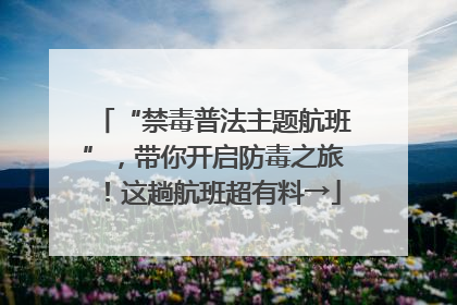 “禁毒普法主题航班”，带你开启防毒之旅！这趟航班超有料→