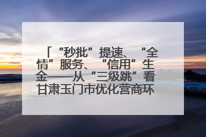 “秒批”提速、“全情”服务、“信用”生金——从“三级跳”看甘肃玉门市优化营商环境的进阶之路