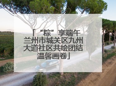 “粽”享端午 兰州市城关区九州大道社区共绘团结温馨画卷
