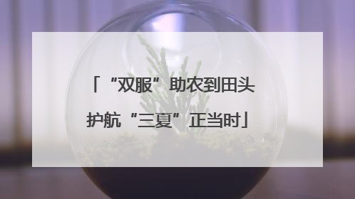 “双服”助农到田头 护航“三夏”正当时