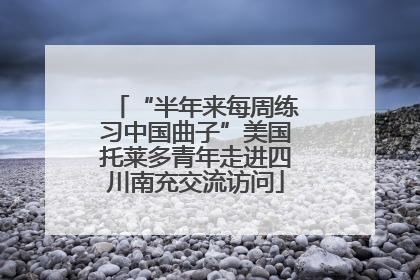“半年来每周练习中国曲子”美国托莱多青年走进四川南充交流访问