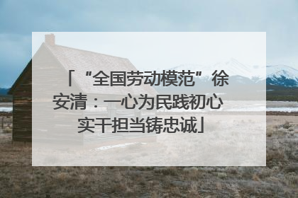 “全国劳动模范”徐安清：一心为民践初心 实干担当铸忠诚