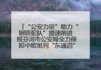 “公安力量”助力“钢铁驼队”提速前进 绥芬河市公安局全力保障中欧班列“东通道”绥芬河隧道贯通
