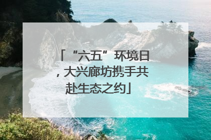 “六五”环境日，大兴廊坊携手共赴生态之约