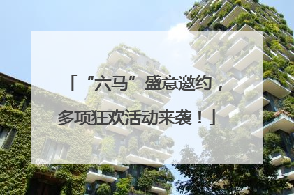 “六马”盛意邀约，多项狂欢活动来袭！