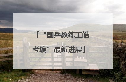 “国乒教练王皓考编”最新进展