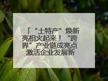 “土特产”焕新亮相火起来！“跨界”产业链成亮点 激活企业发展新增长点