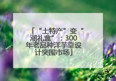 “土特产”变“潮礼盒”：300年老品种洋芋靠设计突围市场
