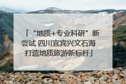 “地质+专业科研”新尝试 四川宜宾兴文石海打造地质旅游新标杆