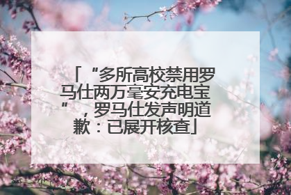“多所高校禁用罗马仕两万毫安充电宝”，罗马仕发声明道歉：已展开核查