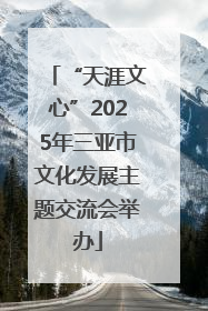 “天涯文心”2025年三亚市文化发展主题交流会举办