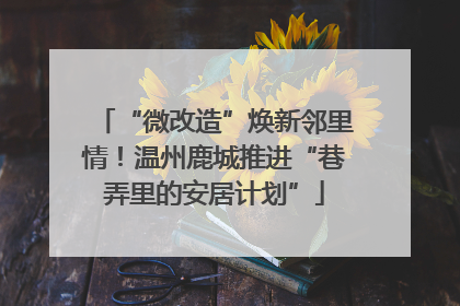 “微改造”焕新邻里情！温州鹿城推进“巷弄里的安居计划”