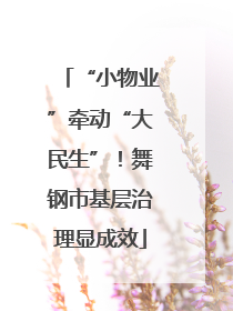 “小物业”牵动“大民生”！舞钢市基层治理显成效