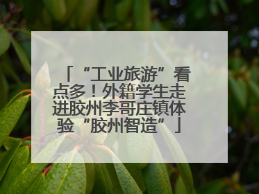 “工业旅游”看点多！外籍学生走进胶州李哥庄镇体验“胶州智造”