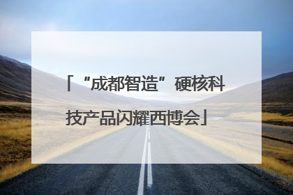 “成都智造”硬核科技产品闪耀西博会