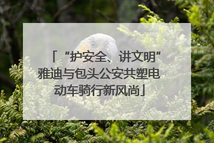 “护安全、讲文明”雅迪与包头公安共塑电动车骑行新风尚