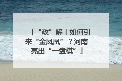 “政”解丨如何引来“金凤凰”？河南亮出“一盘棋”