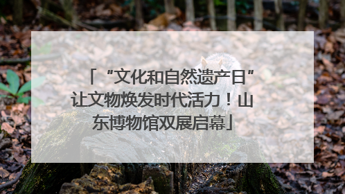 “文化和自然遗产日”让文物焕发时代活力！山东博物馆双展启幕