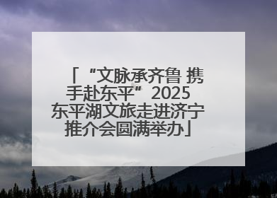 “文脉承齐鲁 携手赴东平”2025东平湖文旅走进济宁推介会圆满举办