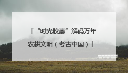 “时光胶囊”解码万年农耕文明（考古中国）