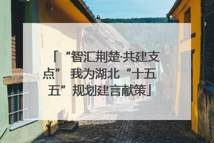 “智汇荆楚·共建支点” 我为湖北“十五五”规划建言献策