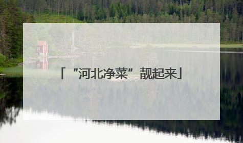 “河北净菜”靓起来