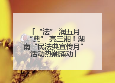 “法” 润五月 “典” 亮三湘！湖南“民法典宣传月”活动热潮涌动