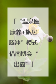 “温泉医康养+旅居腾冲”模式借南博会“出圈”