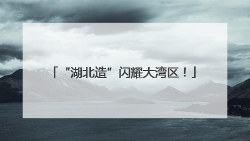 “湖北造”闪耀大湾区！