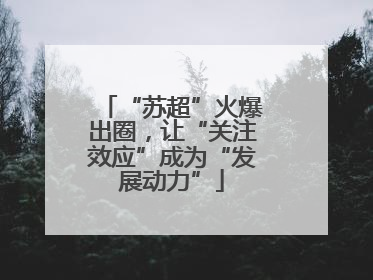 “苏超”火爆出圈，让“关注效应”成为“发展动力”