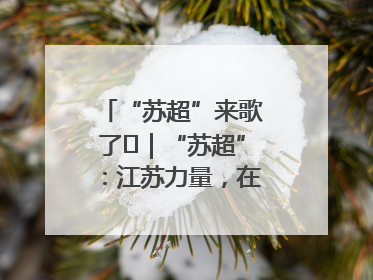 “苏超”来歌了⑪｜“苏超”：江苏力量，在这里聚焦