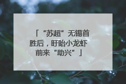 “苏超”无锡首胜后，盱眙小龙虾前来“助兴”