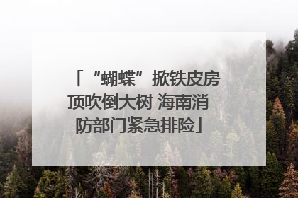 “蝴蝶”掀铁皮房顶吹倒大树 海南消防部门紧急排险