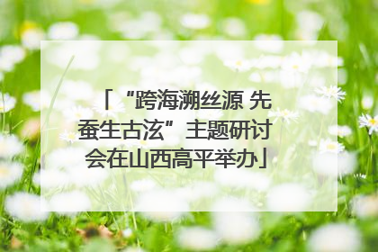 “跨海溯丝源 先蚕生古泫”主题研讨会在山西高平举办