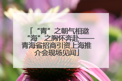 “青”之朝气相邀 “海”之胸怀奔赴——青海省招商引资上海推介会现场见闻
