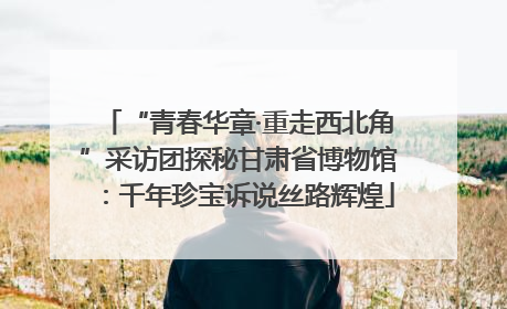 “青春华章·重走西北角”采访团探秘甘肃省博物馆：千年珍宝诉说丝路辉煌