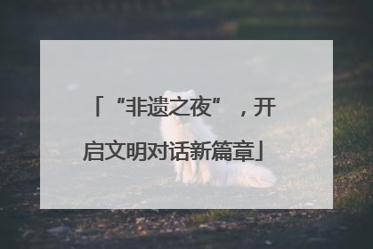 “非遗之夜”，开启文明对话新篇章