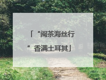 “闽茶海丝行”香满土耳其