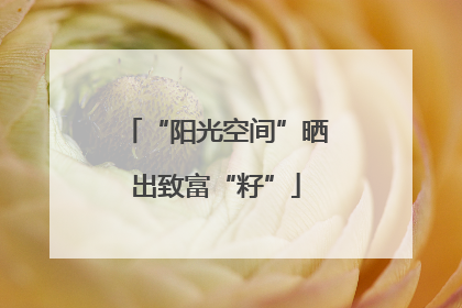“阳光空间”晒出致富“籽”
